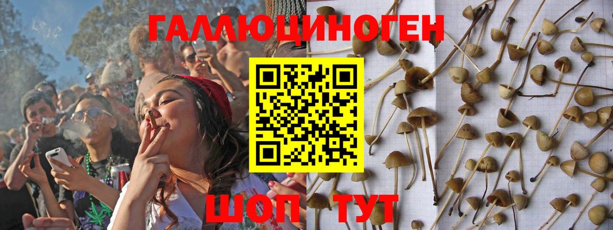 Рязань  Псилоцибиновые грибы Magic Shrooms  где купить наркоту  Псилоцибиновые грибы Magic Shrooms  Вход с VPN 